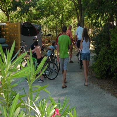 Lou Cabasson Provence-Alpes-Côte d'Azur - Bormes-les-Mimosas visuel 11/11 Lou Cabasson Provence-Alpes-Côte d'Azur - Bormes-les-Mimosas visuel 11/11