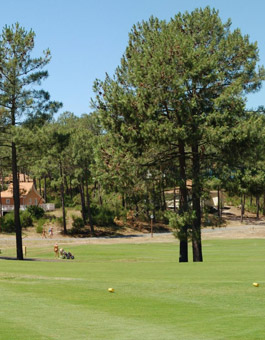 La Jenny Domaine Naturiste - Aquitaine - Le Porge visuel 4/7