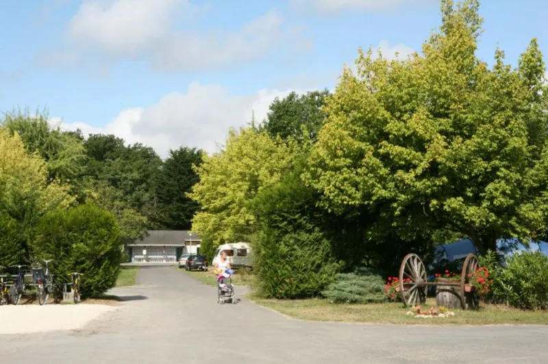 Camping La Mignardière Grand Centre - Ballan-Miré visuel 10/11