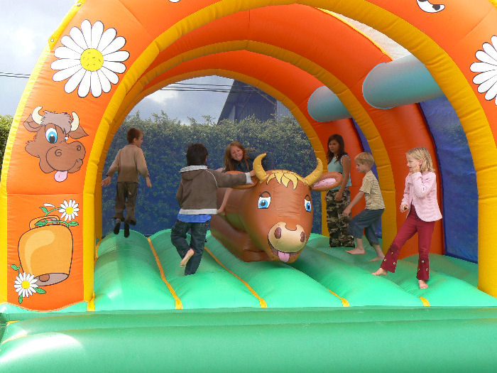 La Mouette Cendrée Pays de Loire - Saint-Vincent-sur-Jard visuel 5/8