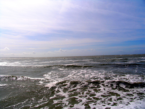 La Mouette Cendrée Pays de Loire - Saint-Vincent-sur-Jard visuel 6/8