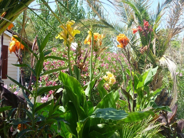 la Plage et du Bord de Mer Languedoc-Roussillon - Vendres visuel 6/11