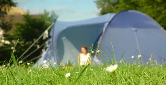 Camping La Prairie Aquitaine - Carcans visuel 2/6