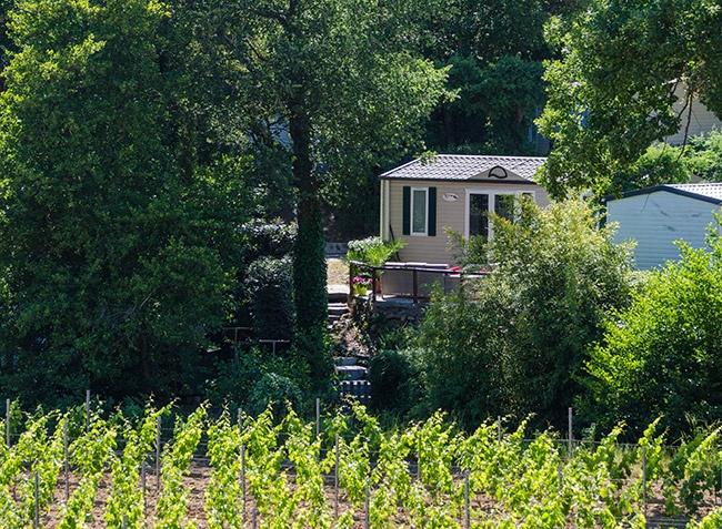 La Rouillère Provence-Alpes-Côte d'Azur - Ramatuelle visuel 6/9