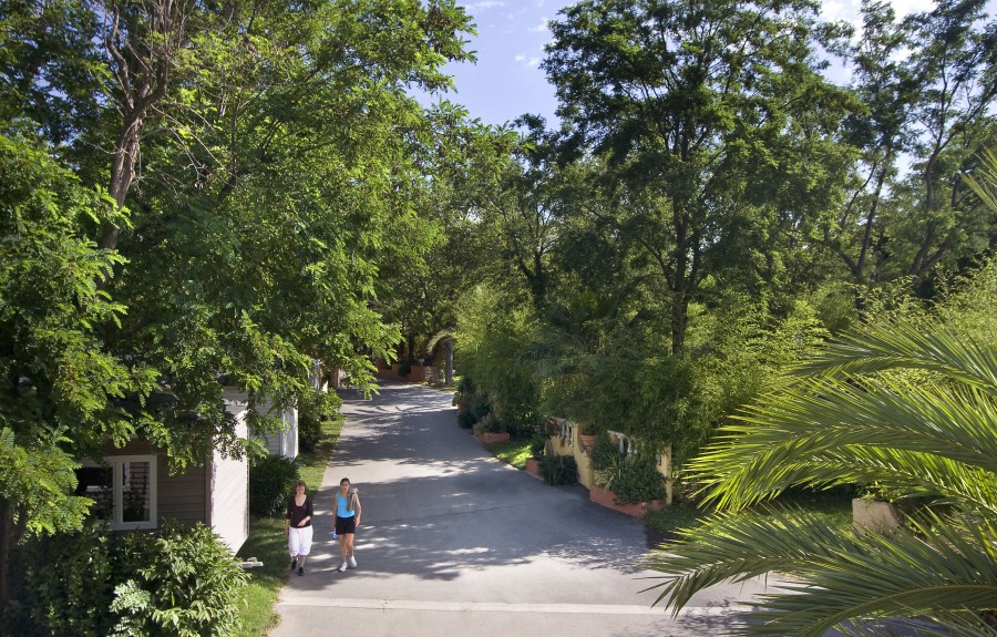 La Sirène Languedoc-Roussillon - Argelès-sur-Mer visuel 15/16