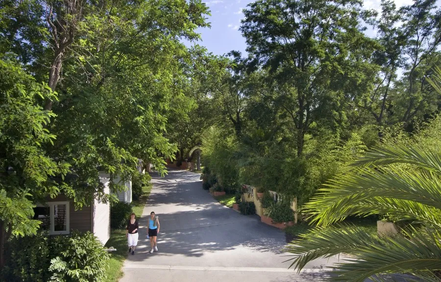 Camping La Sirène Languedoc-Roussillon - Argelès-sur-Mer visuel 14/16