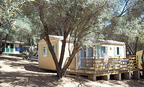 La Sposata Corse - Vico visuel 1/1