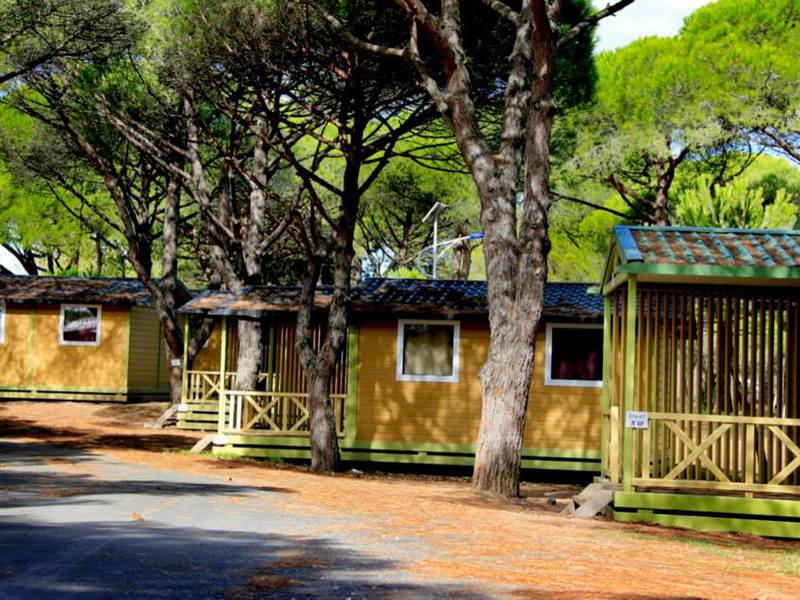 la Tama Languedoc-Roussillon - Agde visuel 6/7