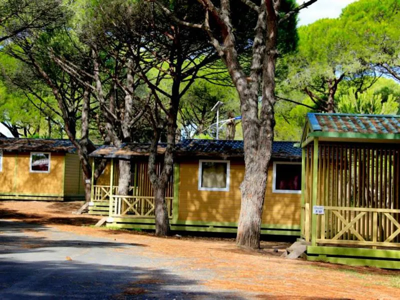 Camping la Tama Languedoc-Roussillon - Agde visuel 7/7