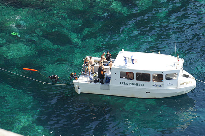la Tour Fondue Provence-Alpes-Côte d'Azur - Hyères visuel 5/11