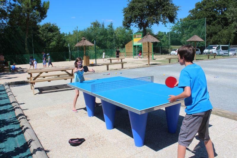La Trévillière Pays de Loire - Brétignolles-sur-Mer visuel 6/12