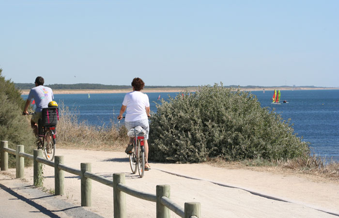 La Trévillière Pays de Loire - Brétignolles-sur-Mer visuel 12/12