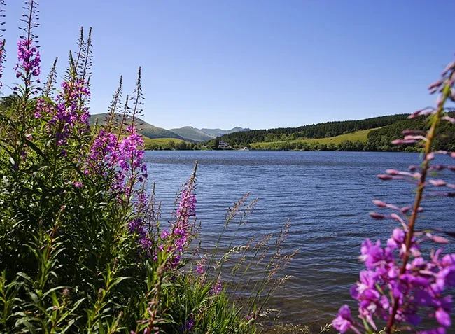 Camping La Vallée Verte Auvergne - Saint-Nectaire visuel 6/7