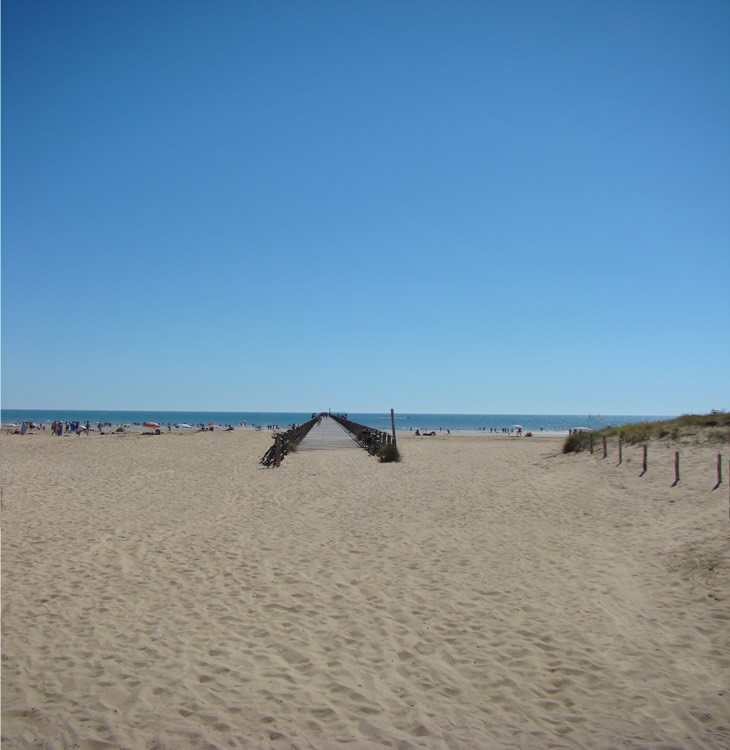 L'Abri des Pins Pays de Loire - Saint-Jean-de-Monts visuel 2/4