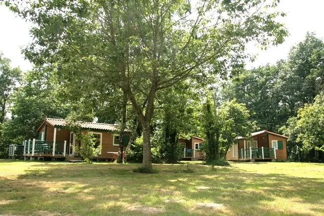 Camping Lac de la Tricherie Pays de Loire - Mesnard-la-Barotière visuel 3/7