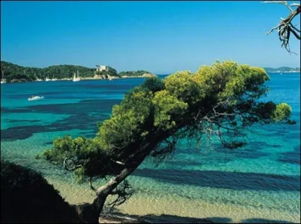Camping Lac de St-Cyr Poitou-Charentes - Saint-Cyr visuel 11/18