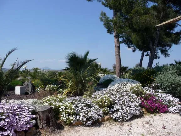 Camping Lac de St-Cyr Poitou-Charentes - Saint-Cyr visuel 16/18