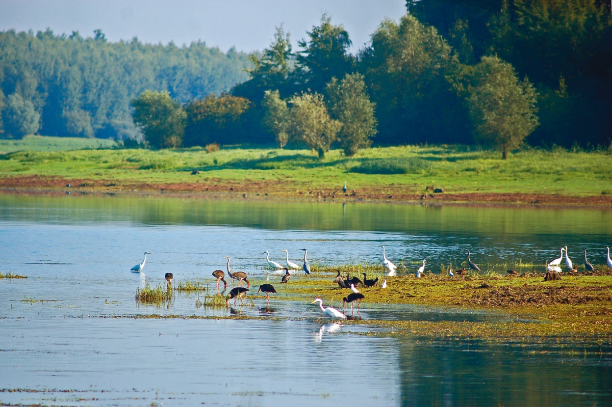 Lac d'Orient Champagne-Ardennes - Mesnil-Saint-Père visuel 15/15 Lac d'Orient Champagne-Ardennes - Mesnil-Saint-Père visuel 15/15