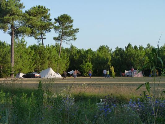 l'Acacia Aquitaine - Hourtin visuel 9/10 l'Acacia Aquitaine - Hourtin visuel 9/10