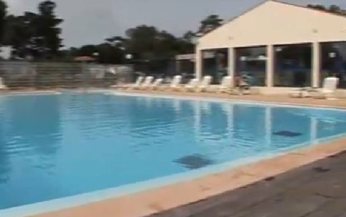 L'Albizia Pays de Loire - Notre-Dame-de-Monts visuel 6/9