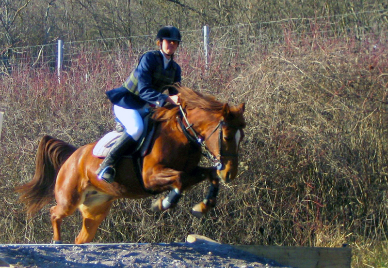 L'Amitié Provence-Alpes-Côte d'Azur - Touët-sur-Var visuel 3/7 L'Amitié Provence-Alpes-Côte d'Azur - Touët-sur-Var visuel 3/7