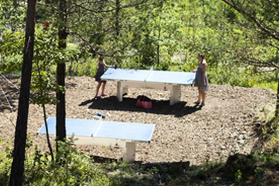 Lanmary Aquitaine - Antonne-et-Trigonant visuel 4/7