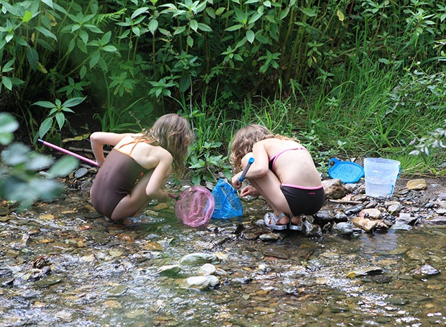 L'Arize Midi-Pyrénées - La Bastide-de-Sérou visuel 4/10