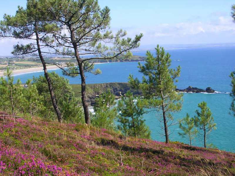 L'Armorique Bretagne - Telgruc-sur-Mer visuel 5/10