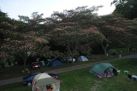 Camping L'Arrouach Midi-Pyrénées - Lourdes visuel 4/9