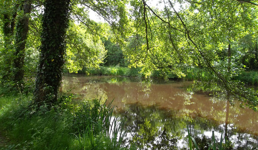 le Beauchêne Pays de Loire - Avrillé visuel 5/18