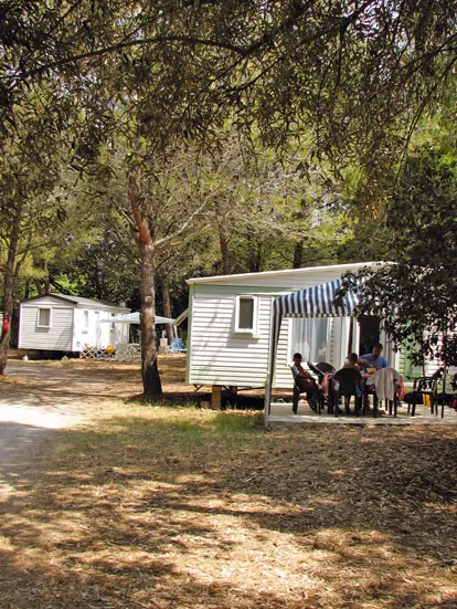 Camping Le Beau Vezé Provence-Alpes-Côte d'Azur - Carqueiranne visuel 5/10