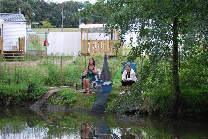 le Beauchêne Pays de Loire - Avrillé visuel 12/18