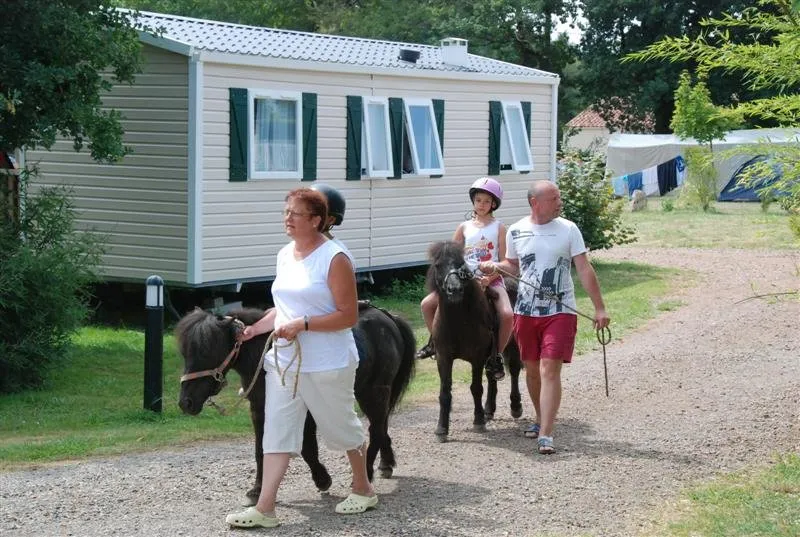 Camping le Beauchêne Pays de Loire - Avrillé visuel 12/18