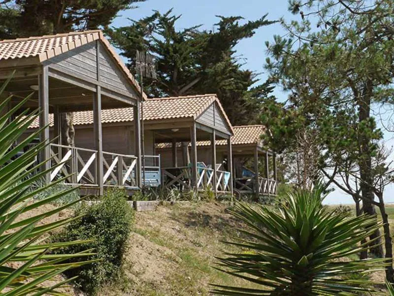 Camping Le Bellevue Pays de Loire - La Tranche-sur-Mer visuel 7/11