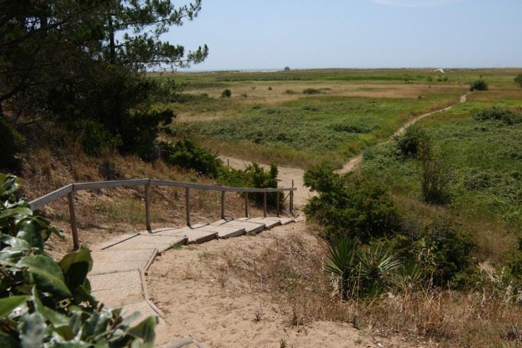 Le Bellevue Pays de Loire - La Tranche-sur-Mer visuel 10/11