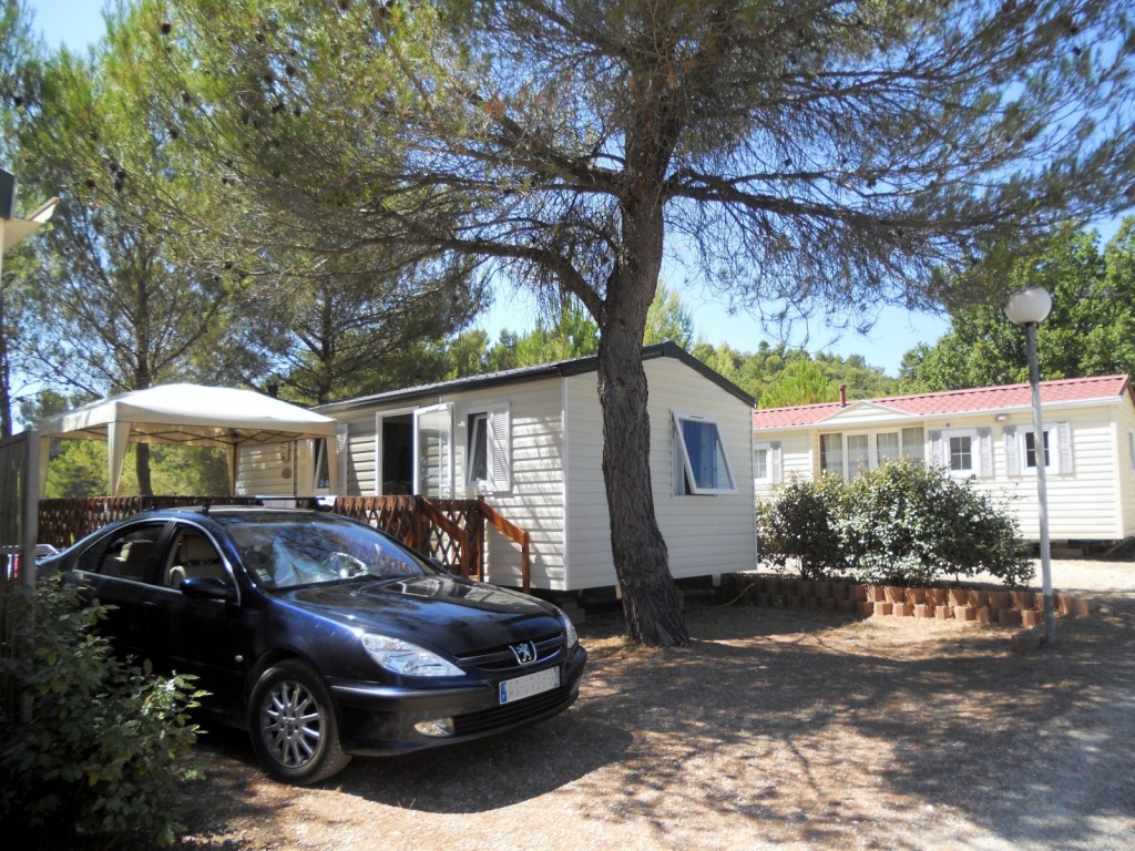 Le Bleu Lavande Provence-Alpes-Côte d'Azur - Saint-Martin-de-Brômes visuel 2/5
