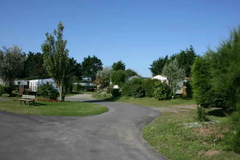 Camping le Bois des Pins Picardie - Cayeux-sur-Mer visuel 2/10