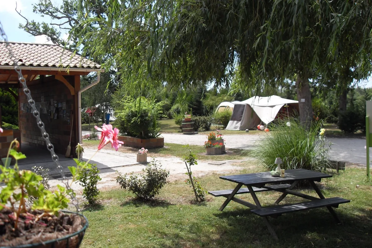 Camping Le Bonheur est dans le pré Aquitaine - Vendays-Montalivet visuel 5/6