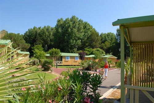 Le Bosc d'en Roug Languedoc-Roussillon - Saint-Cyprien visuel 12/14