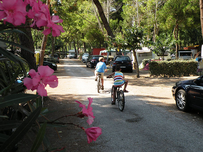 Le Bosquet Languedoc-Roussillon - Canet-en-Roussillon visuel 3/3
