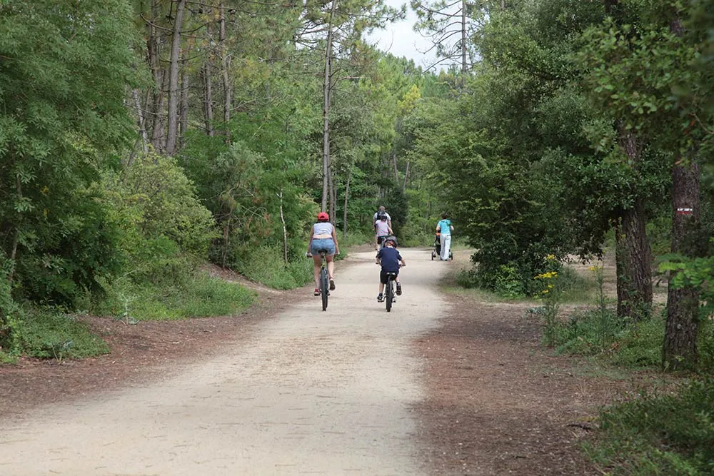 Camping Le California Pays de Loire - Saint-Jean-de-Monts visuel 26/26
