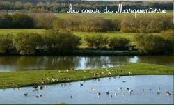 Camping Le Champ Neuf Picardie - Saint-Quentin-en-Tourmont visuel 7/10