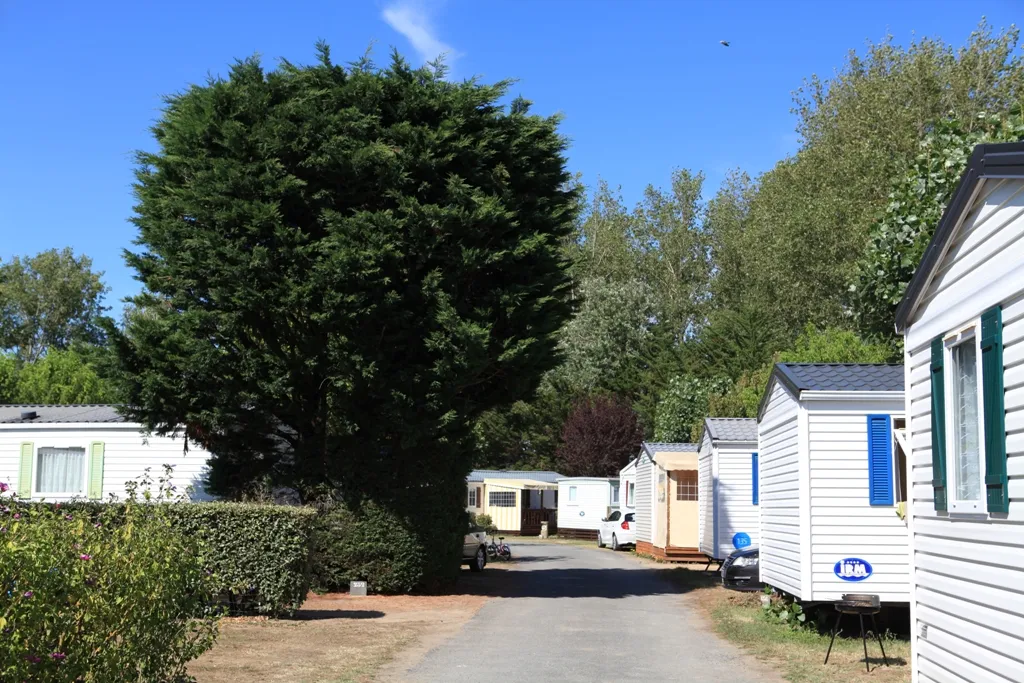 Camping Le Château Pays de Loire - Saint-Hilaire-de-Riez visuel 10/11