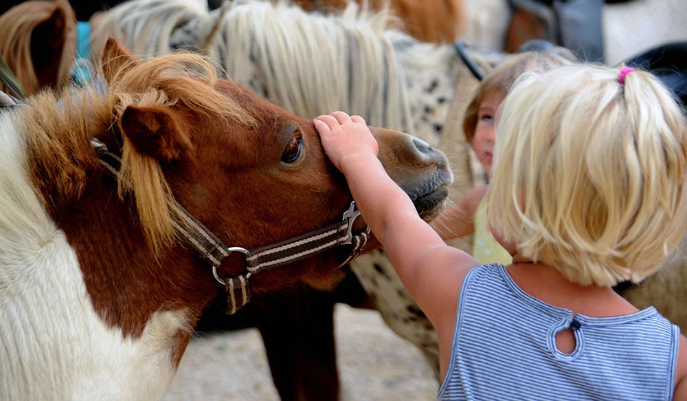 Le Château de Galaure Rhône-Alpes - Châteauneuf-de-Galaure visuel 14/14 Le Château de Galaure Rhône-Alpes - Châteauneuf-de-Galaure visuel 14/14