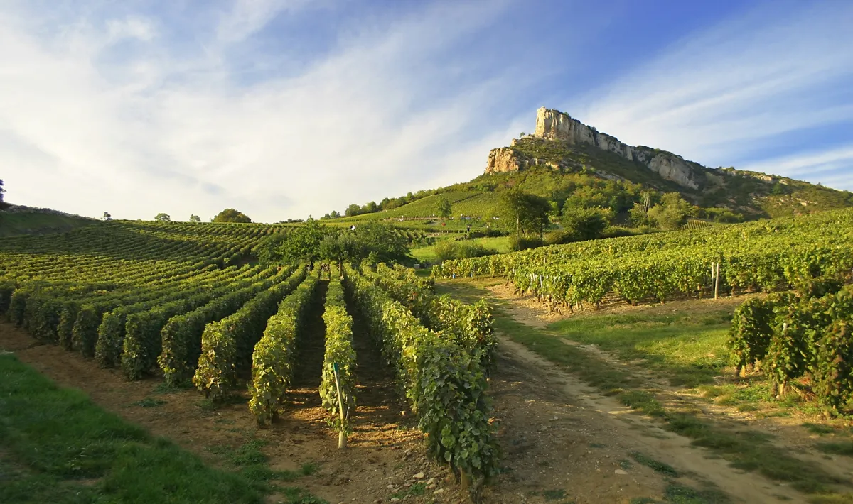 Camping Le Château de l'Epervière Bourgogne - Gigny-sur-Saône visuel 11/11