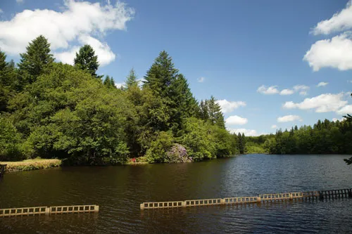 Camping Le Château de Leychoisier Limousin - Bonnac-la-Côte visuel 5/10