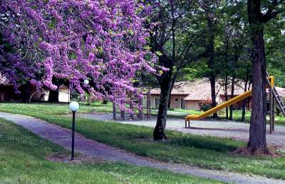 Le Château de Termes Midi-Pyrénées - Saint-Denis-lès-Martel visuel 3/8