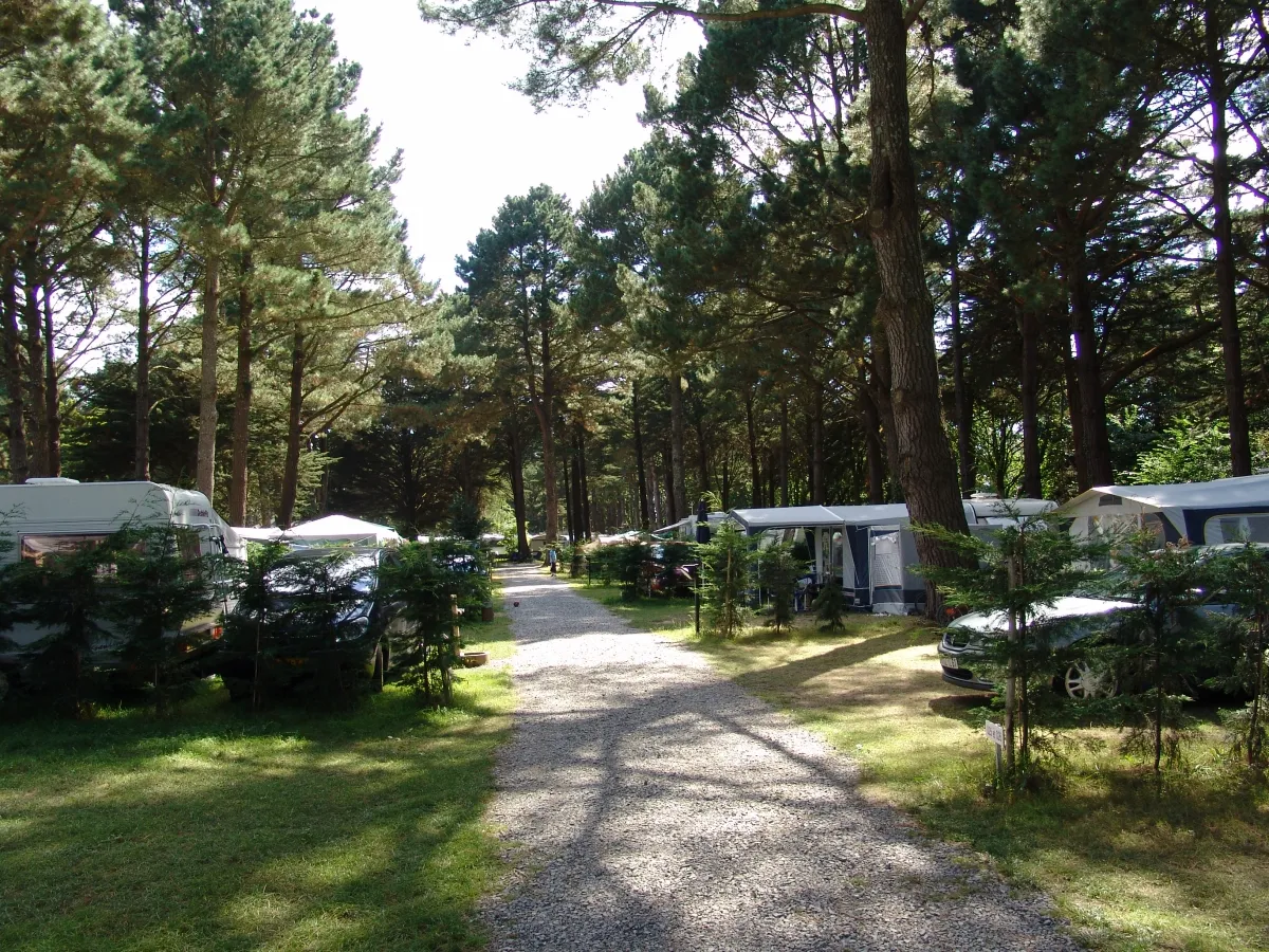 Camping Sunêlia Le Petit Bois Pays de Loire - Mesquer visuel 25/26