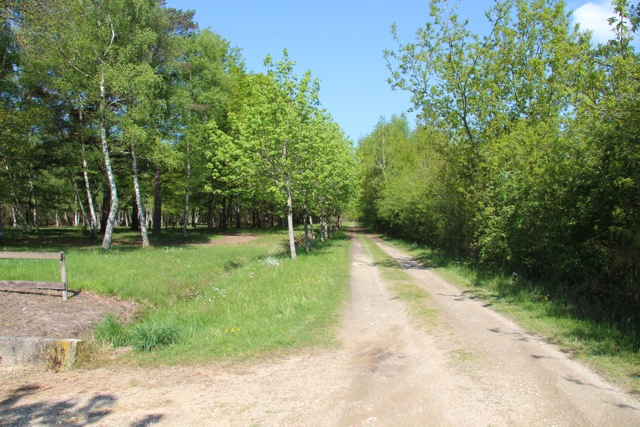 Le Chêne Grand Centre - Pruniers-en-Sologne visuel 2/6