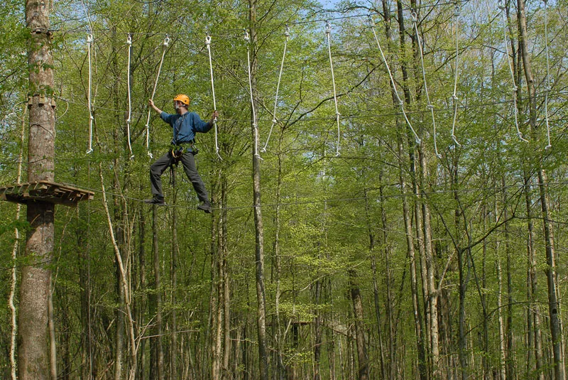 Camping Le Chêne Perché  Champagne-Ardennes - Signy-l'Abbaye visuel 6/9